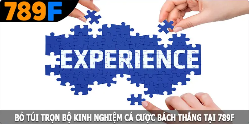 Bỏ túi trọn bộ kinh nghiệm cá cược bách thắng tại 789F