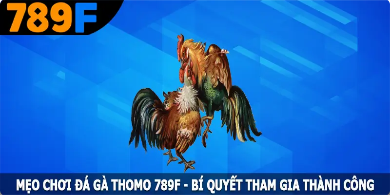 Mẹo Chơi Đá Gà Thomo 789F – Bí Quyết Tham Gia Thành Công