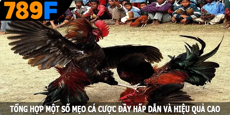 Tổng hợp một số mẹo cá cược đầy hấp dẫn và hiệu quả cao